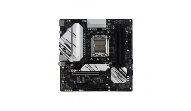 "B650M-Silver (AM5) (D)"