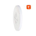 Smart ceiling lamp 30cm WiFi/Bluetooth 16M RGBCW Gosund LB12 1920lm Tuya + Remote Control.