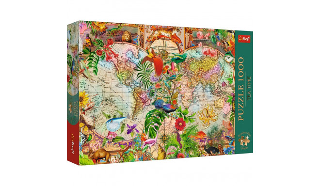 Puzzle - 1000 Premium Plus - tee aeg: antiikne maailmakaart - Trefl 12077