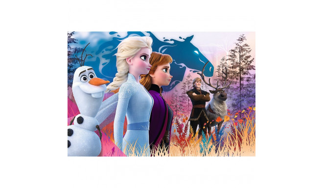 Puzzle - "24 Maxi" - maagiline seiklus Frozen 2 Trefl 14298