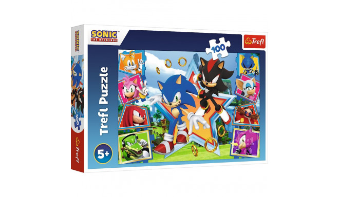 pusle - 100 - tutvu Sonicuga - Trefl 16465