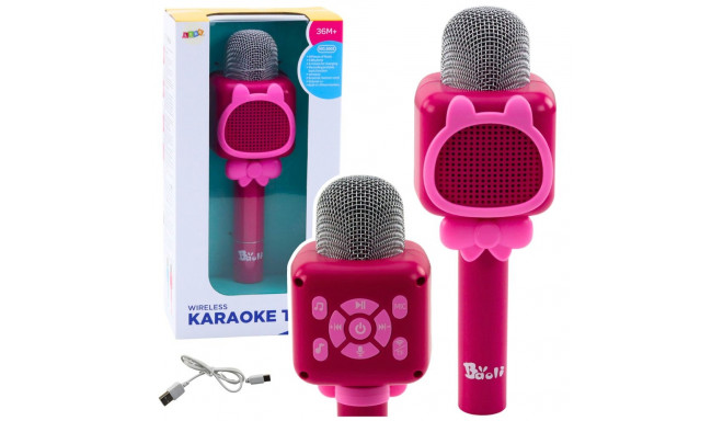 juhtmevaba Bluetooth mikrofon karaoke jaoks salvestamine hääle muutmine roosa
