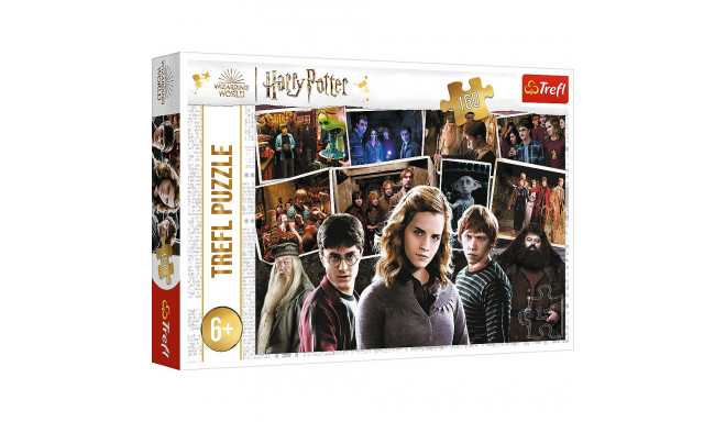 Puzzle - 160 - Harry Potter i przyjaciele - Trefl 15418