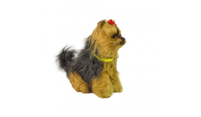 interaktiivne koer yorkshire terjer plüüsne haugub liigutab saba