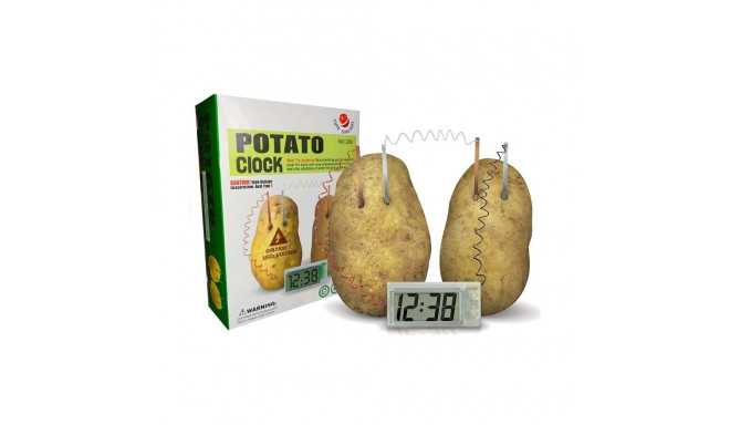 Zestaw Kreatywny Eksperyment Naukowy Eko Zegar z Ziemniaka