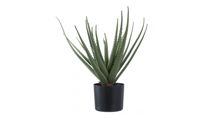 Kunsttaim Aloe Vera H51cm