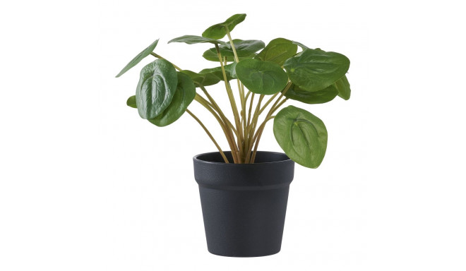 Kunsttaim Pelia H28cm