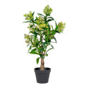 Kunsttaim Skimmia H75 cm