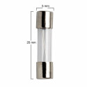 Elinchrom Fuses 8 AT/10 pcs (5x20 mm)