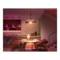 Philips Hue LED smart lamp, White and color ambiance, E27, 1600 lm