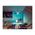 Philips Hue LED smart lamp, White and color ambiance, E27, 1600 lm