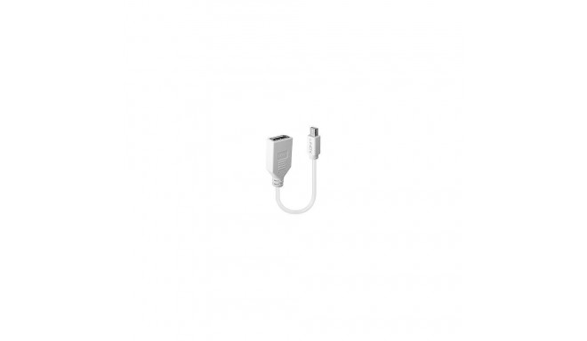 LINDY ADAPTER MINI DP TO DP/0.2M 41021