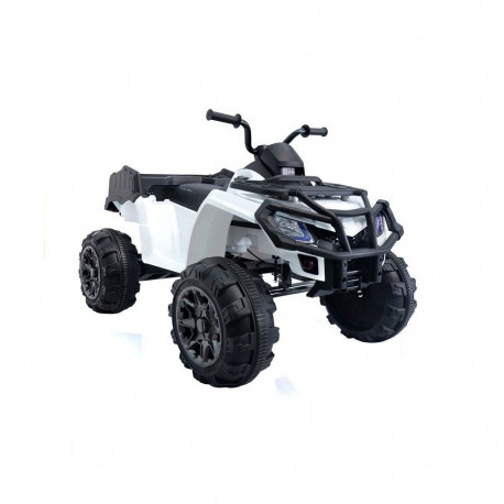 Quad BDM 0909 valge 24V