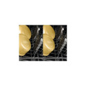 Electrolux EEA12100L