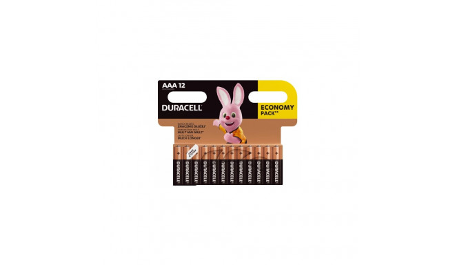 Duracell MN2400 Basic AAA (LR03) x12