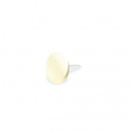 UPHOLSTERY NAIL 9 BRASS PLATED/ 55PCS