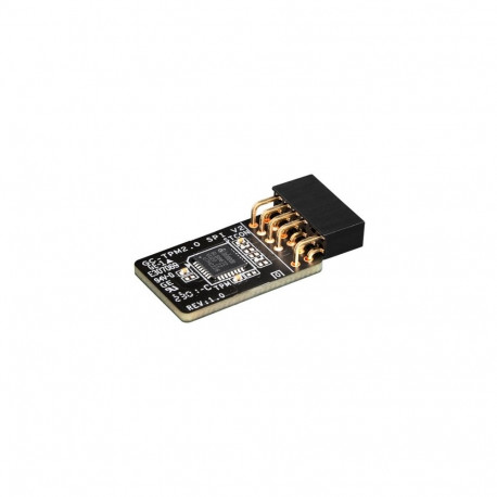 GIGABYTE GC-TPM 2.0 SPI V2