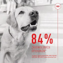 ROYAL CANIN Supplements Dog Digestion Adult - dog vitamins - 160g