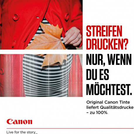 "Canon Tinte PG-545/CL-546 8287B005 2er Pack (BK/Color) gemäß ISO/IEC 24711"