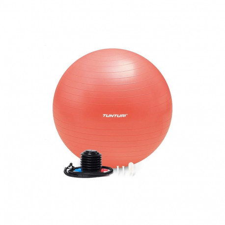Tunturi Gymball Anti Burst with pump 65cm, Rose gold