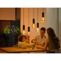Philips Hue Lightguide Globe smart bulb, E27, G95