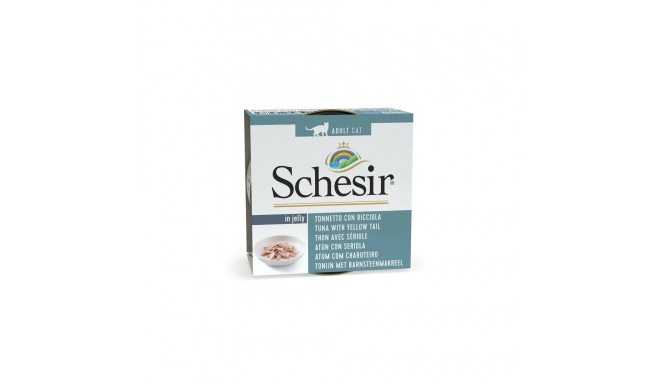 Wet Cat Food - Schesir 85g, Yellow