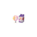 WiZ Filament Globe Clear 40 W G95 E27