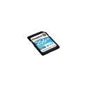Kingston Canvas Go Plus 256GB