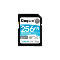 Kingston Canvas Go Plus 256GB