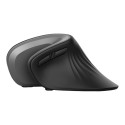 Trust Verro juhtmevaba ergonoomiline hiir (23507)
