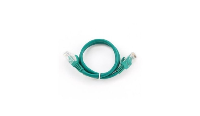 Patch cord cat.5e 0.25M green