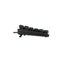 "Cherry Keyboard KC 200 MX MX2A SILENT RED [DE] black/bronze MX2A SILENT RED Switch"