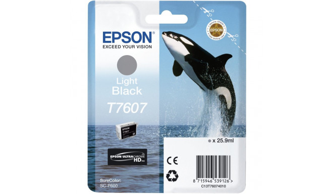 "Epson C13T76074010 light black"