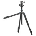 Cullmann Rondo 460M RB8.5