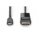 DP Adapter Cable AK-300334-020-S