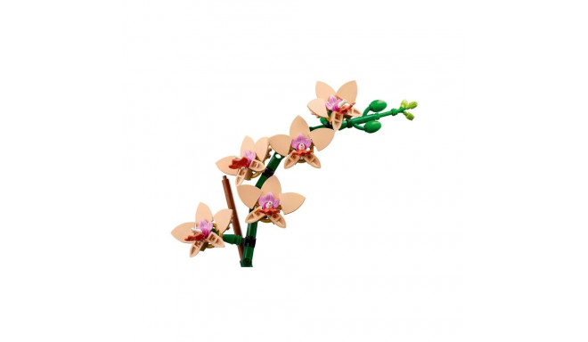 LEGO ICONS 10343 The Botanical Collection - mini orhidee