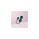 Weighted Kegel Training Kit Magic Motion