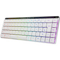 "Asus Tastatur ROG Falchion RX LP RL Gaming Tastatur Swiss"