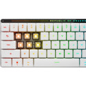 "Asus Tastatur ROG Falchion RX LP RL Gaming Tastatur Swiss"