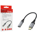 "Equip Displayport->HDMI Adapter 1.4 St/Bu 8K/60Hz grau"