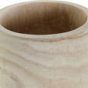 stādītājs DKD Home Decor Brūns Paulovnijas koks (23 x 23 x 56 cm)