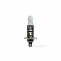 Autopirn M-Tech Z1 P14,5s H1