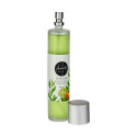 Gaisa Atsvaidzinātāja Aerosols Zaļā Tēja 100 ml (12 gb.)