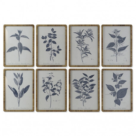 Glezna DKD Home Decor Moderns Botāniskie augi 50 x 2,5 x 70 cm (8 gb.)