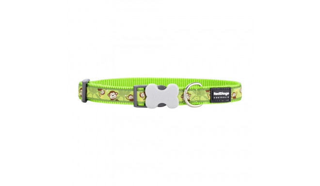 Dog collar Red Dingo STYLE MONKEY LIME GREEN 41-63 cm