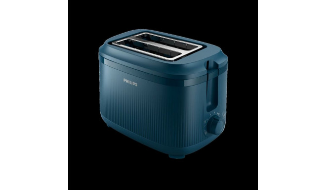 Röster Philips HD2511/70 900 W