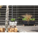 Prosperplast flower pot Gracia Square, white