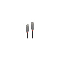 LINDY CABLE USB2 TYPE A 1M/ANTHRA 36702