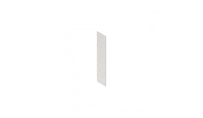 NAIL PLATE 200X40X2.0 CE