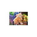 Castorland Ginger Kitten 180 pcs Jigsaw puzzle 180 pc(s) Fauna